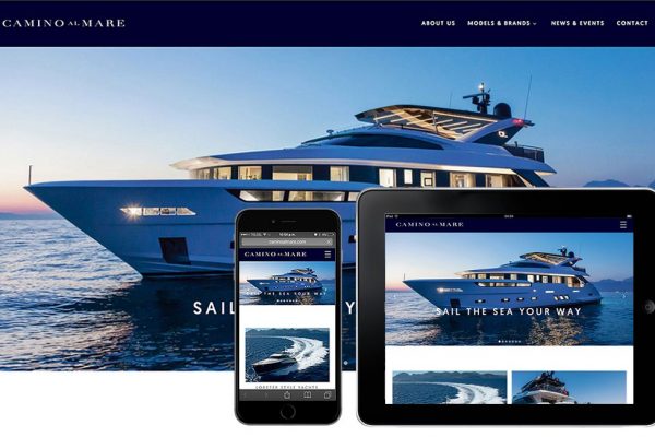 diseno web profesional