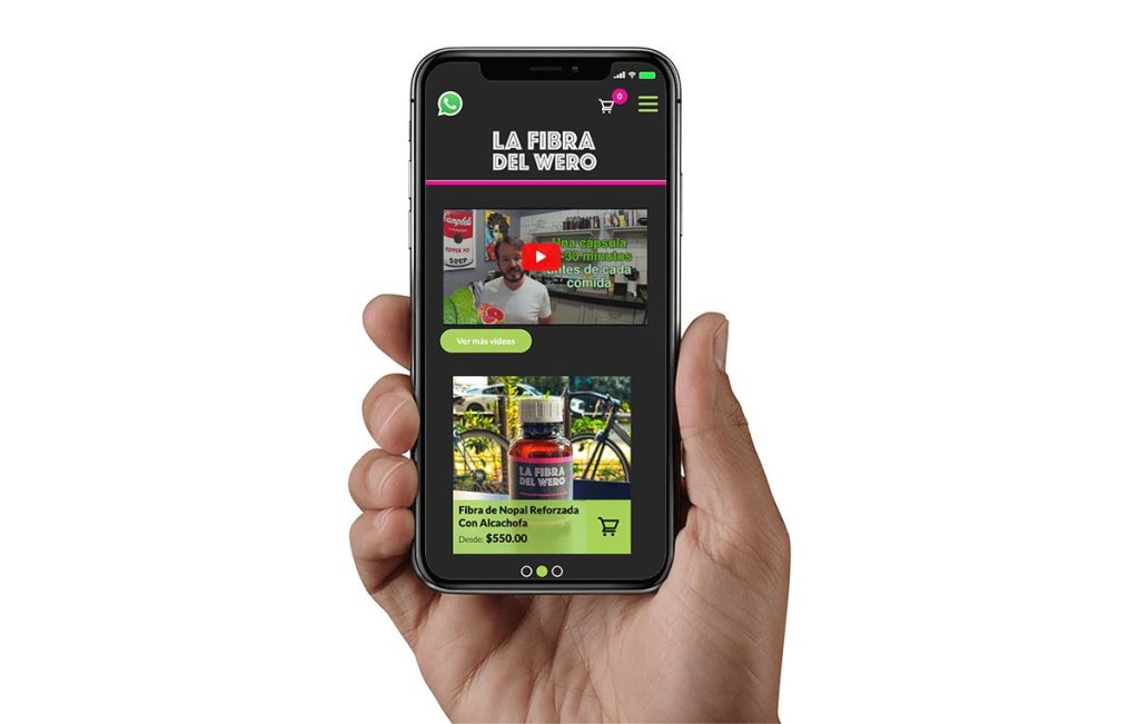 Bioxnet - Diseño de Páginas Web Monterrey | Fibra de Nopal