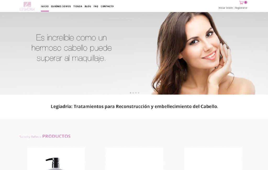 diseño web Ecommerce en monterrey