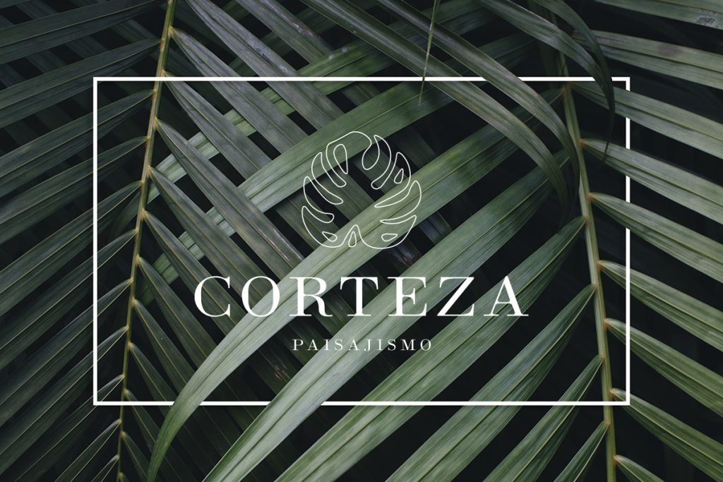 Corteza 3 corteza2