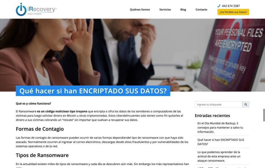 Diseño de pagina web profesional mty