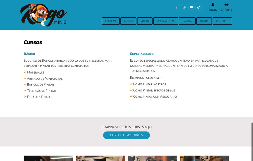 paginas web monterrey