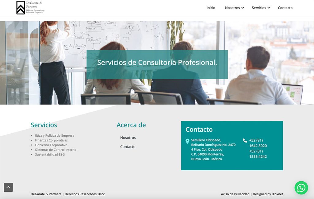 sitios web profesionales Monterrey