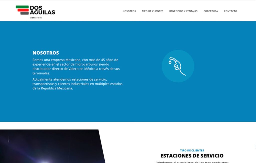 diseñador de páginas web Monterrey