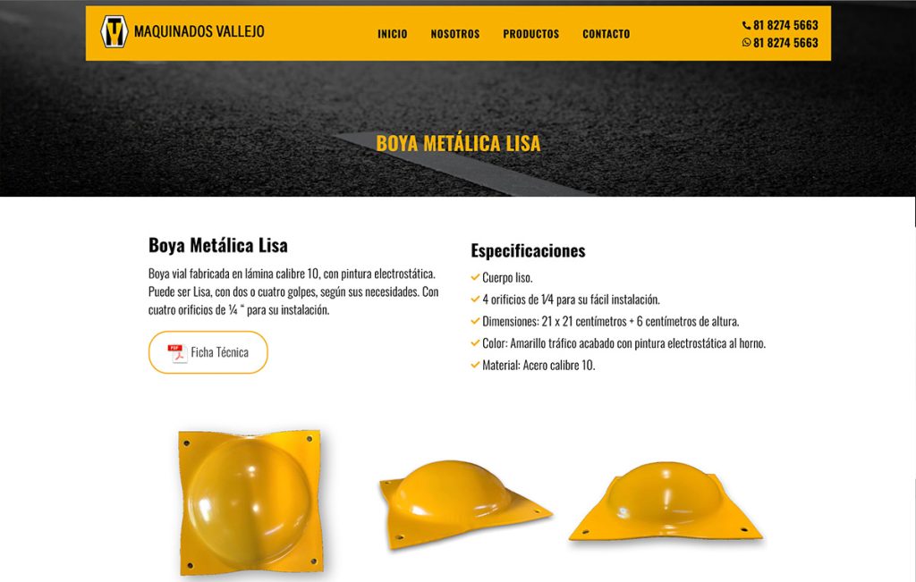 diseñador web monterrey