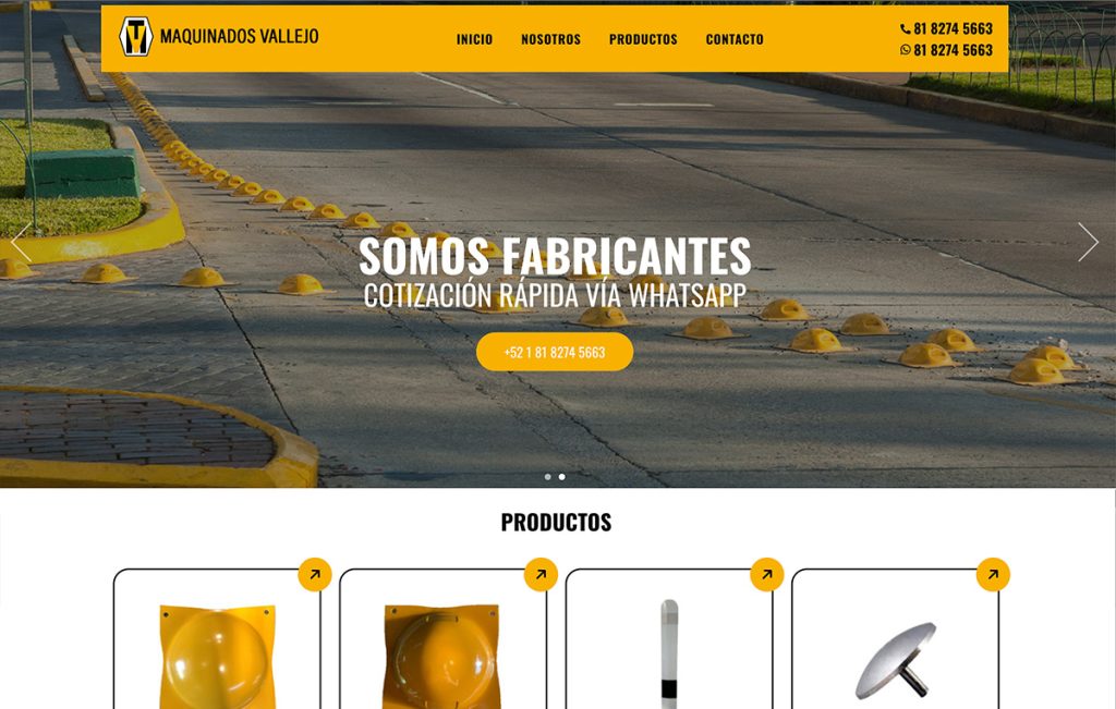 paginas web en monterrey