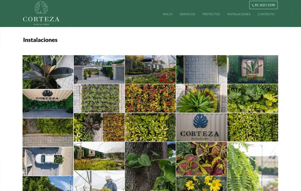 Bioxnet - Diseño de Páginas Web Monterrey | Corteza Paisajísmo Web Bioxnet - Diseño de Páginas Web Monterrey | Corteza Paisajísmo Web
