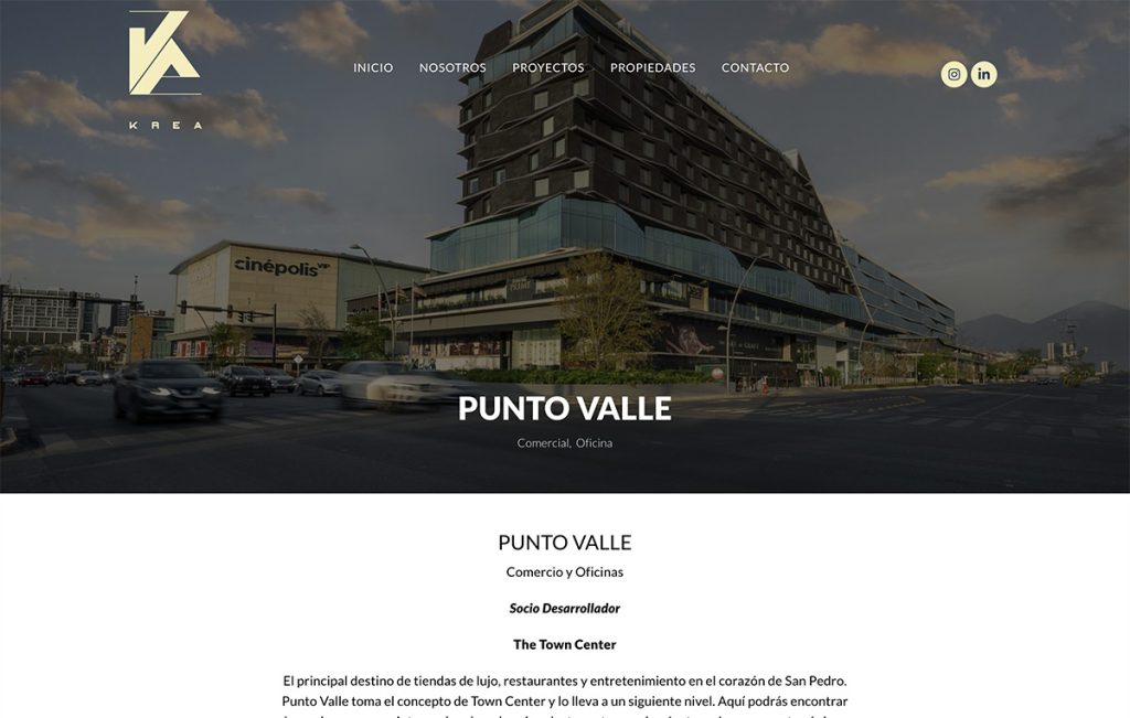 diseño web profesional