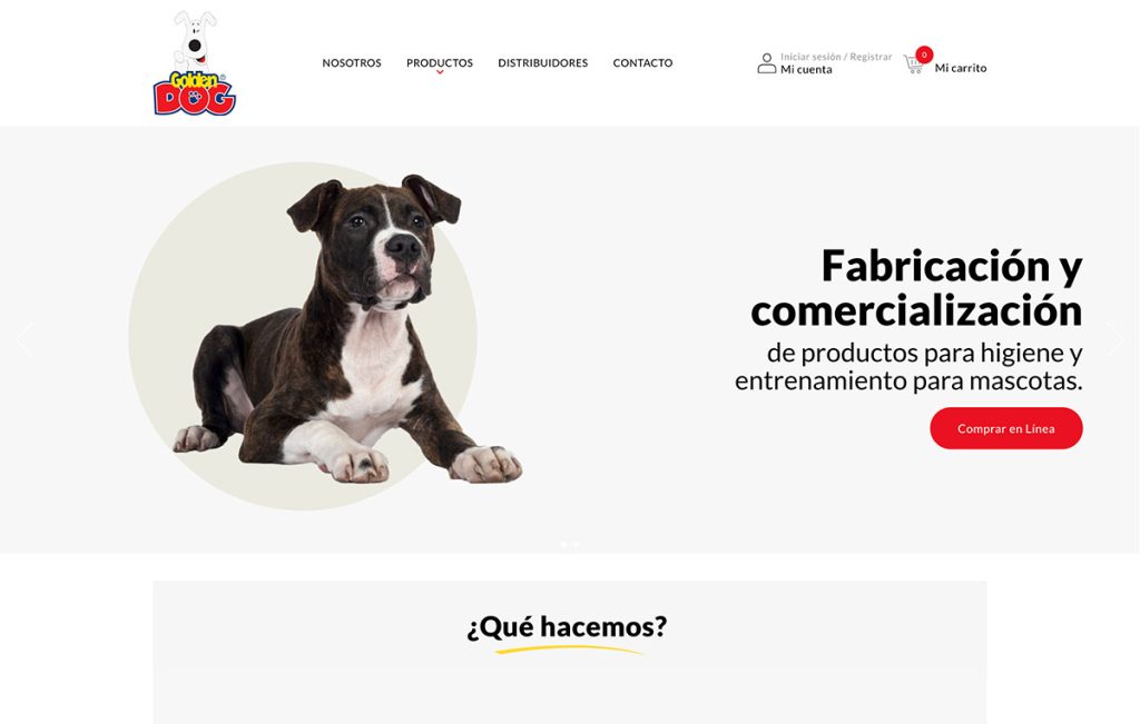 diseño De pagina web monterrey