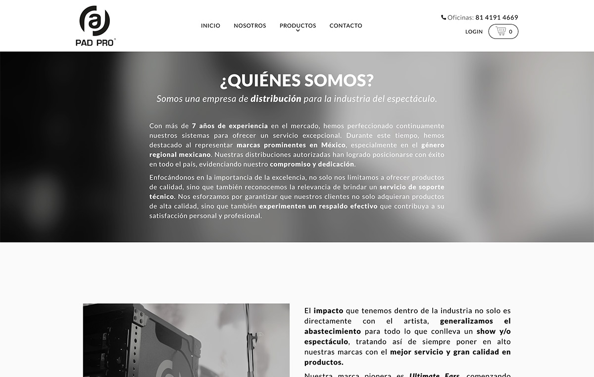 diseñador de páginas web profesionales en monterrey