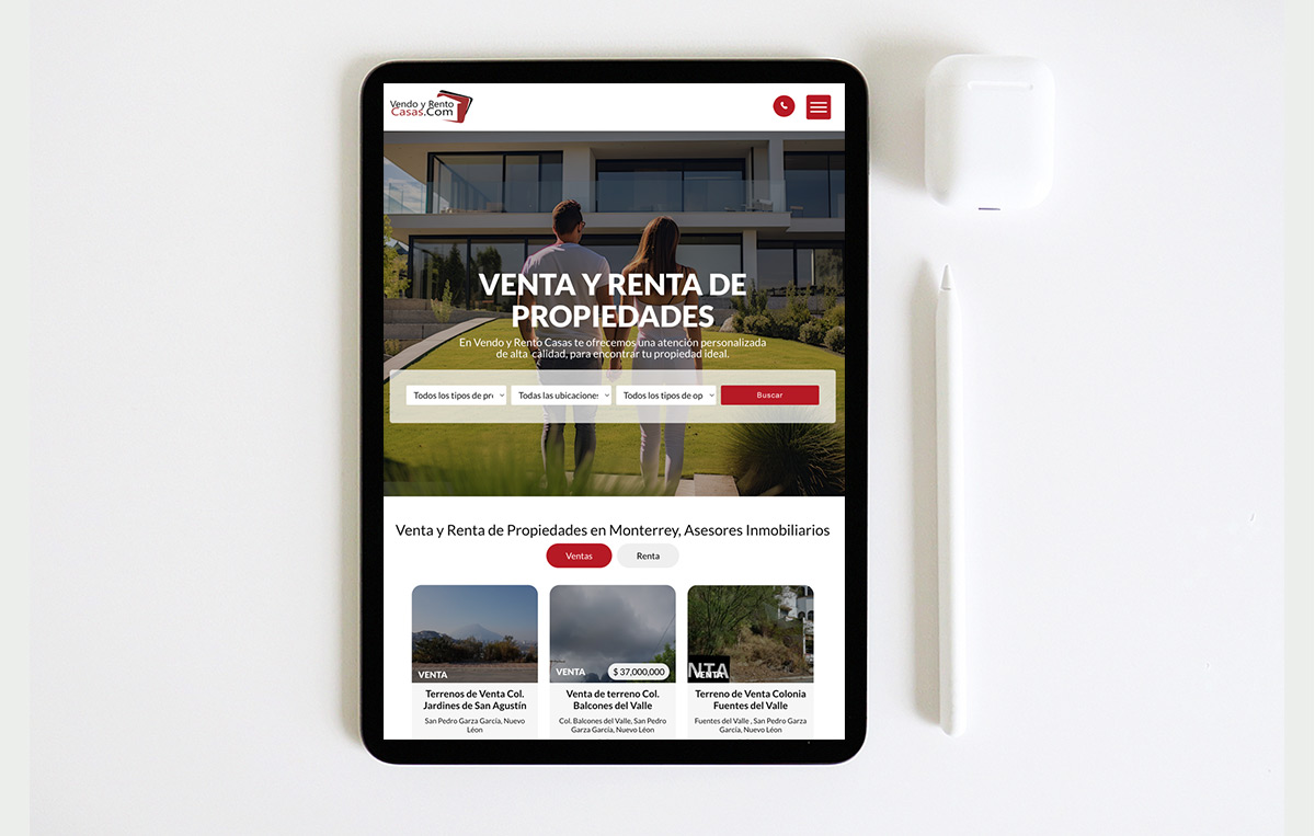 diseño profesional de paginas web