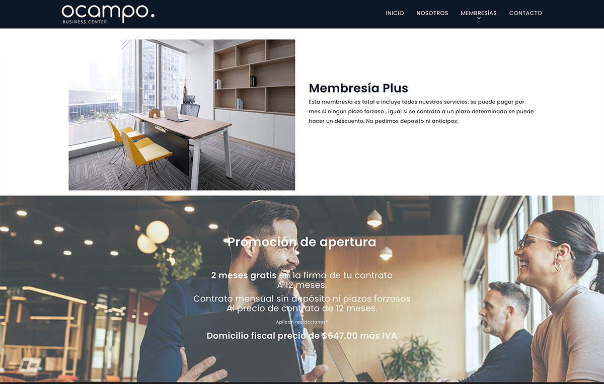 diseñador Web monterrey