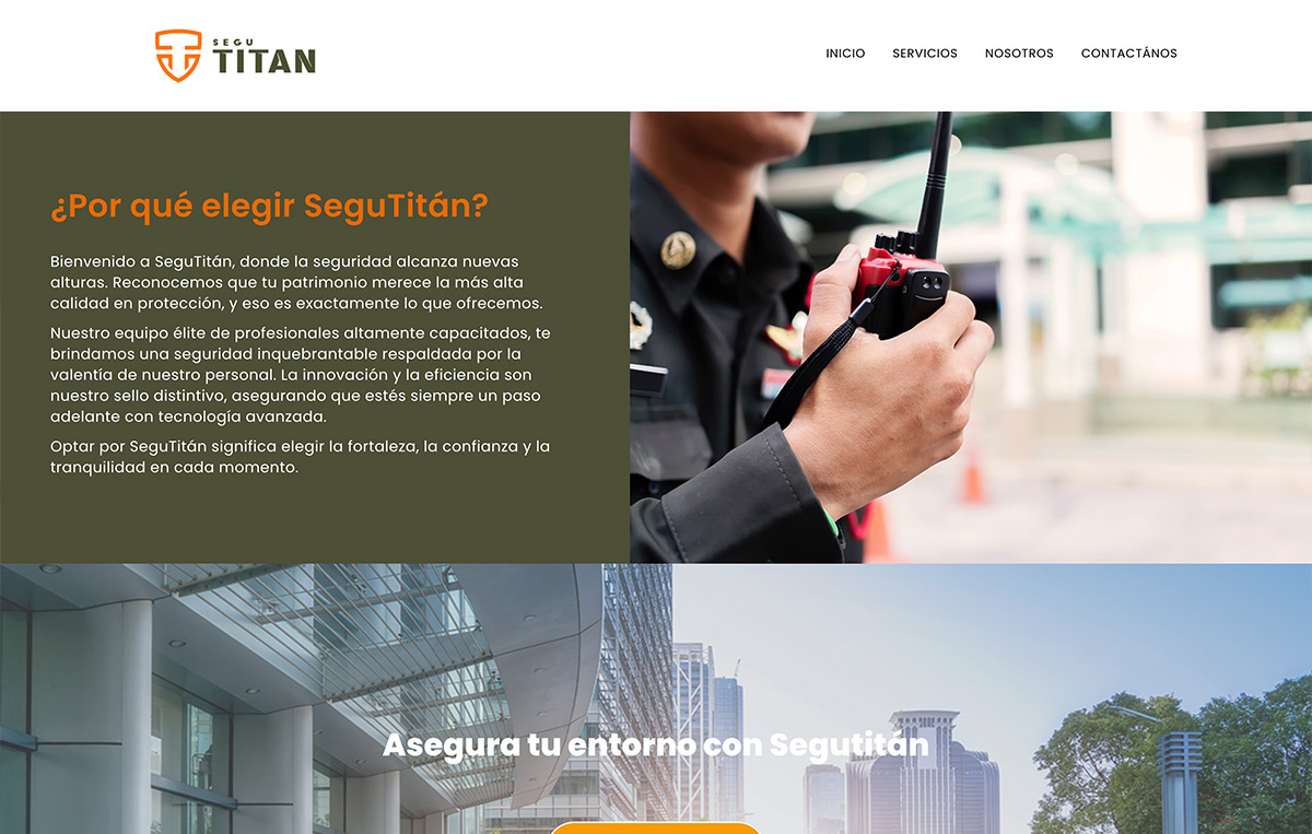 diseño web mty