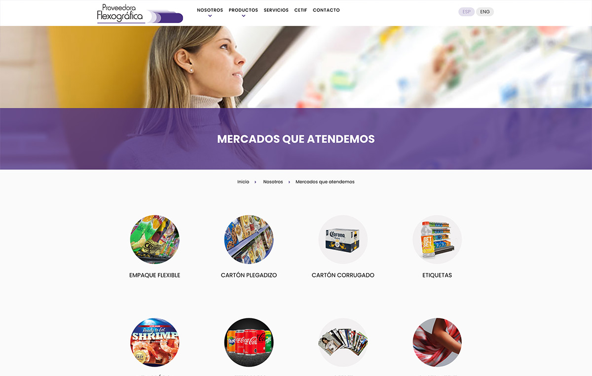 diseño de stios web monterrey