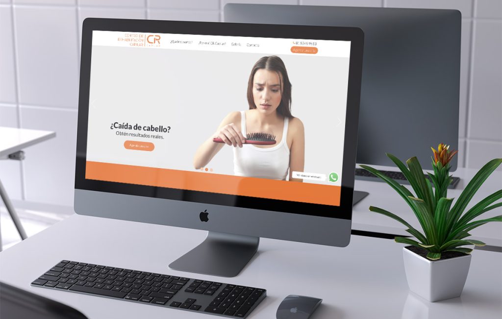 diseño De sitios de internet monterrey