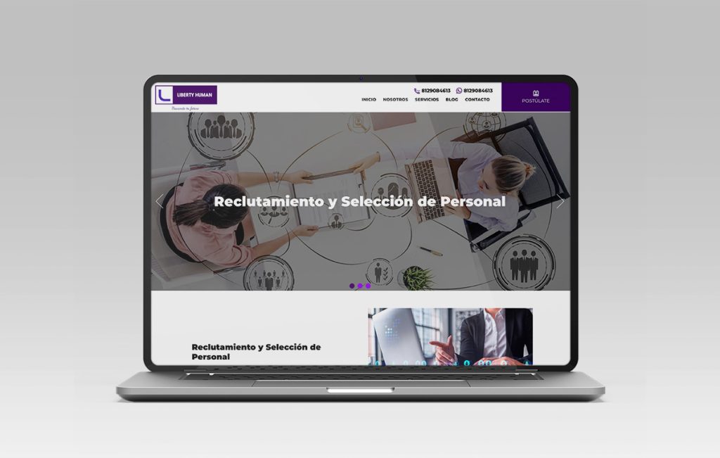 diseño Web profesional sanpedro