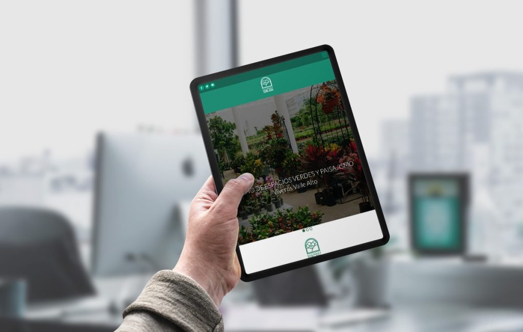 diseño de paginas de internet en monterrey