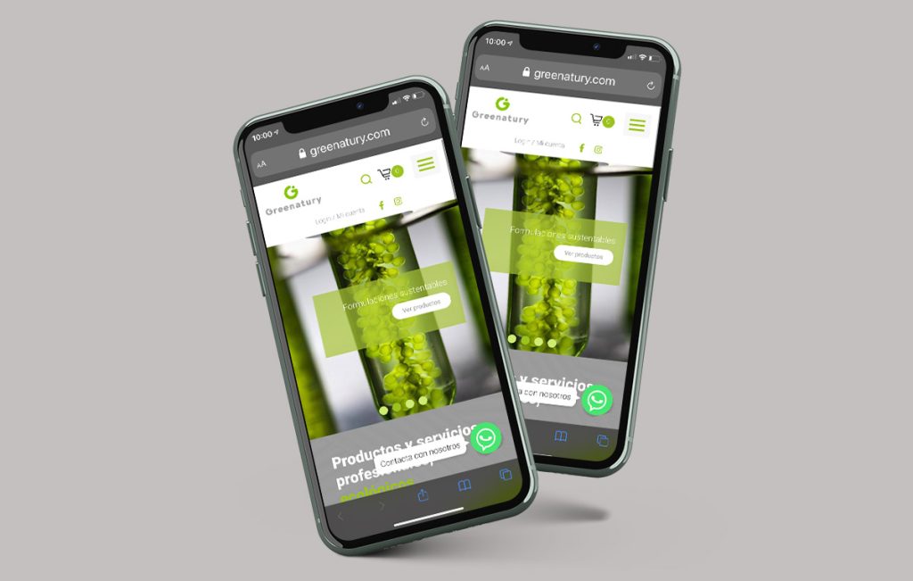 diseño de paginas web en monterrey