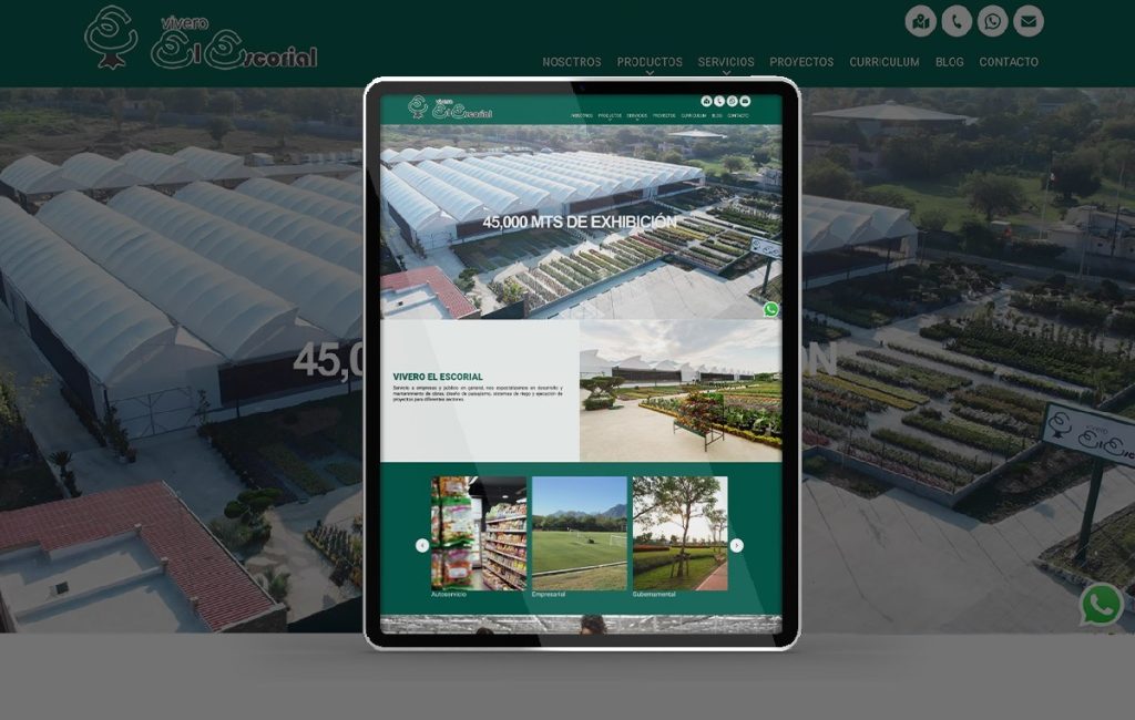 web design monterrey