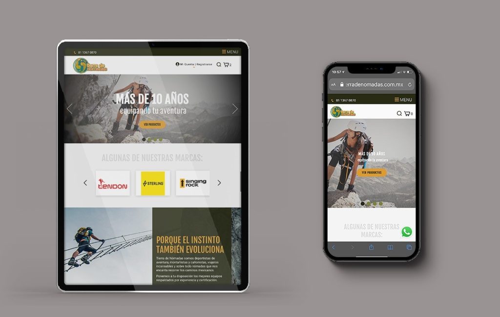 diseño de sitio web profesional