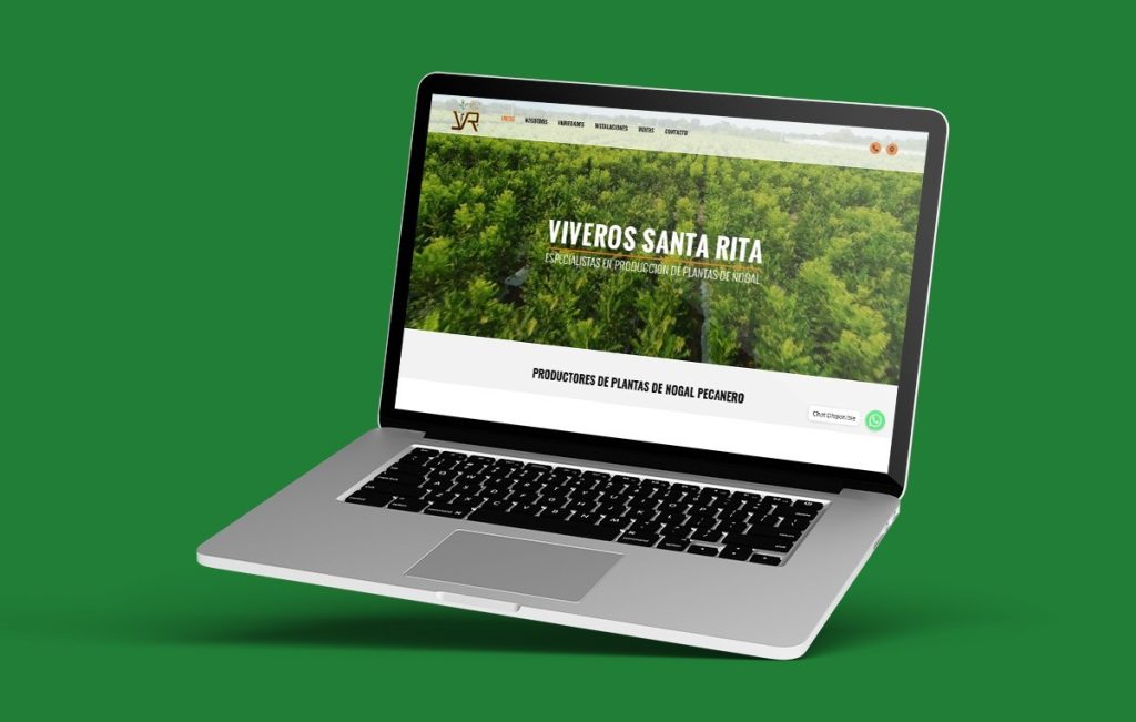 diseño de pagina web en monterrey