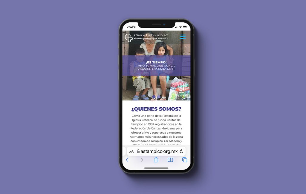 diseño de página web sanpedro