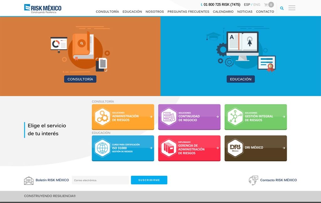 diseno_web_profesional
