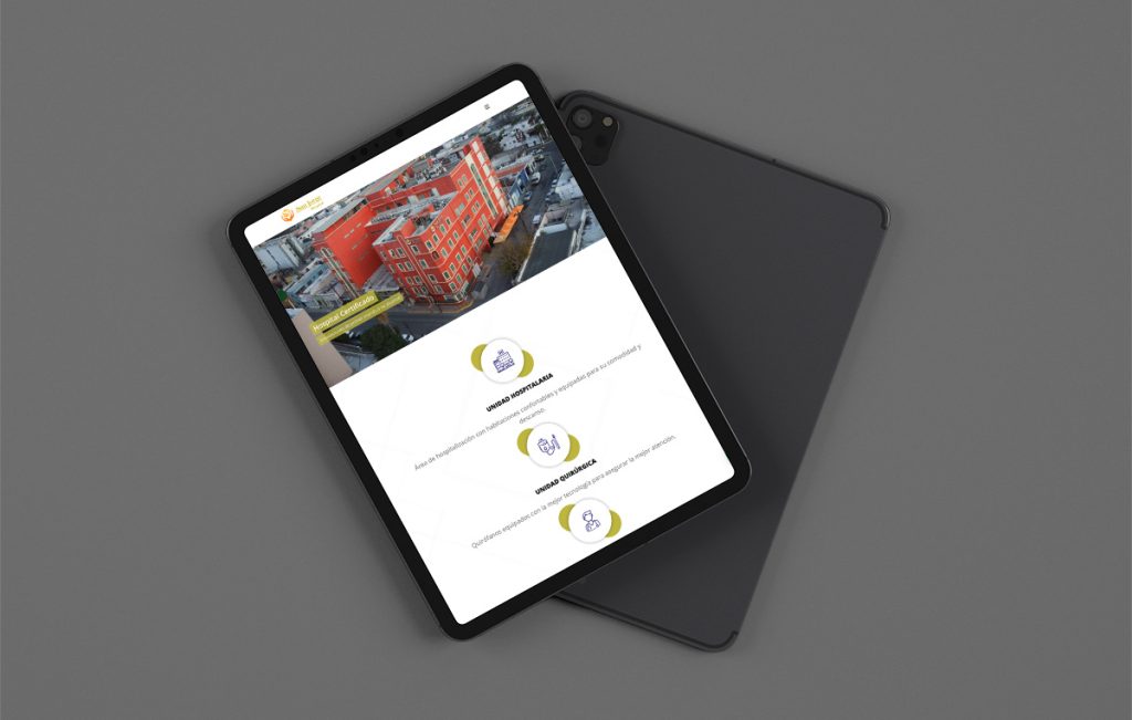 diseño web profesional