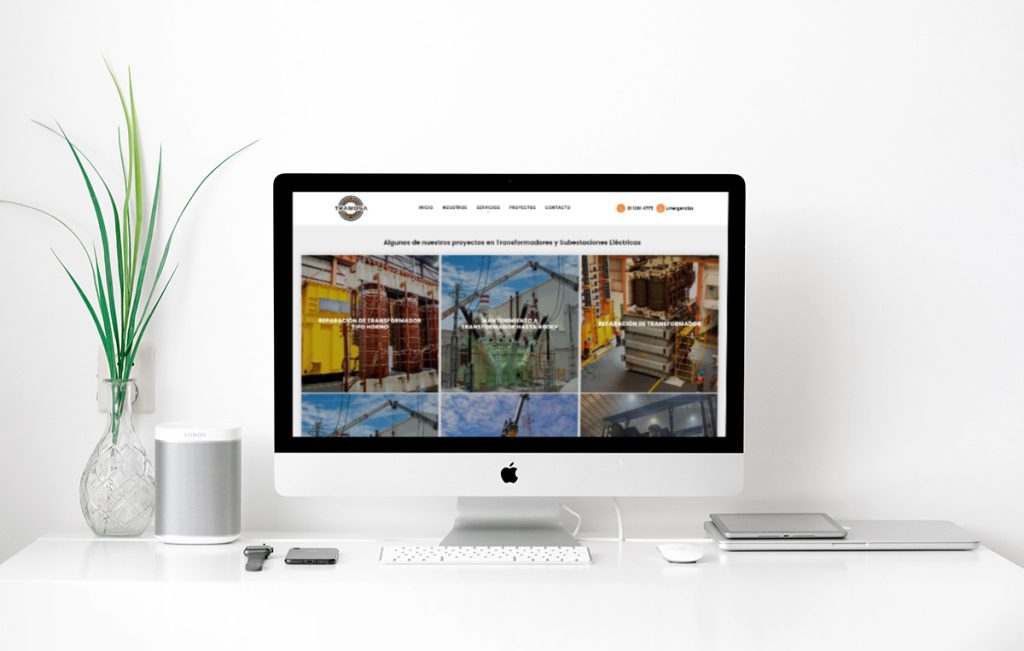 diseño web profesional