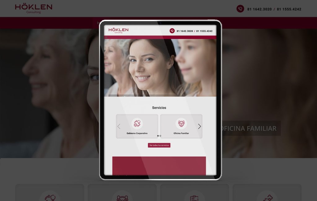 diseño web profesional en monterrey