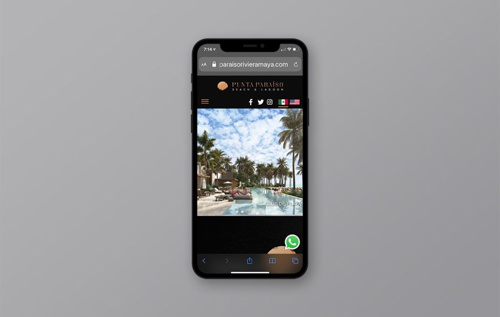 diseño web profesional monterrey