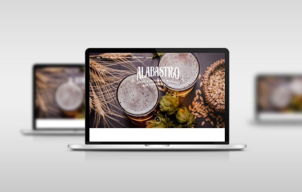 diseño web profesional monterrey