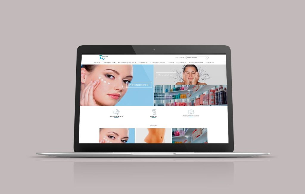 diseño web profesional monterrey