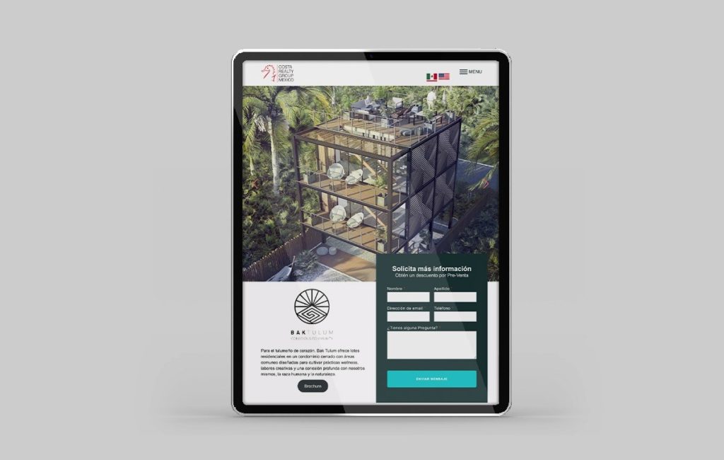 diseño web profesional sanpedro