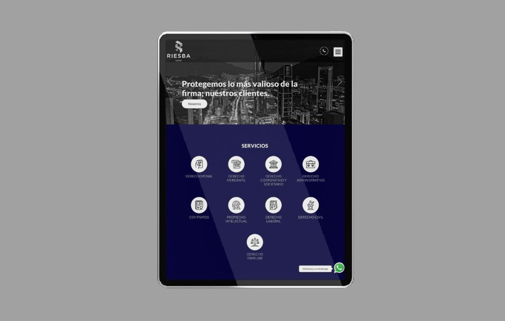 diseño web profesional san pedro