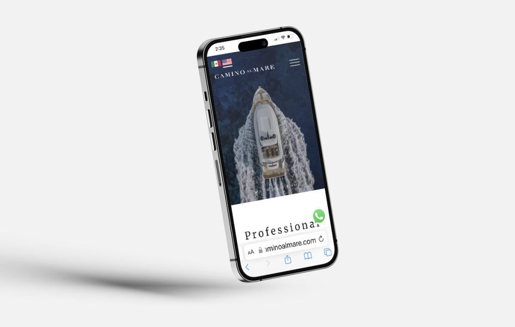 diseñador web san pedro|diseño web san pedro