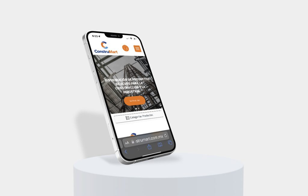 diseño web profesional monterrey|agencia web san pedro