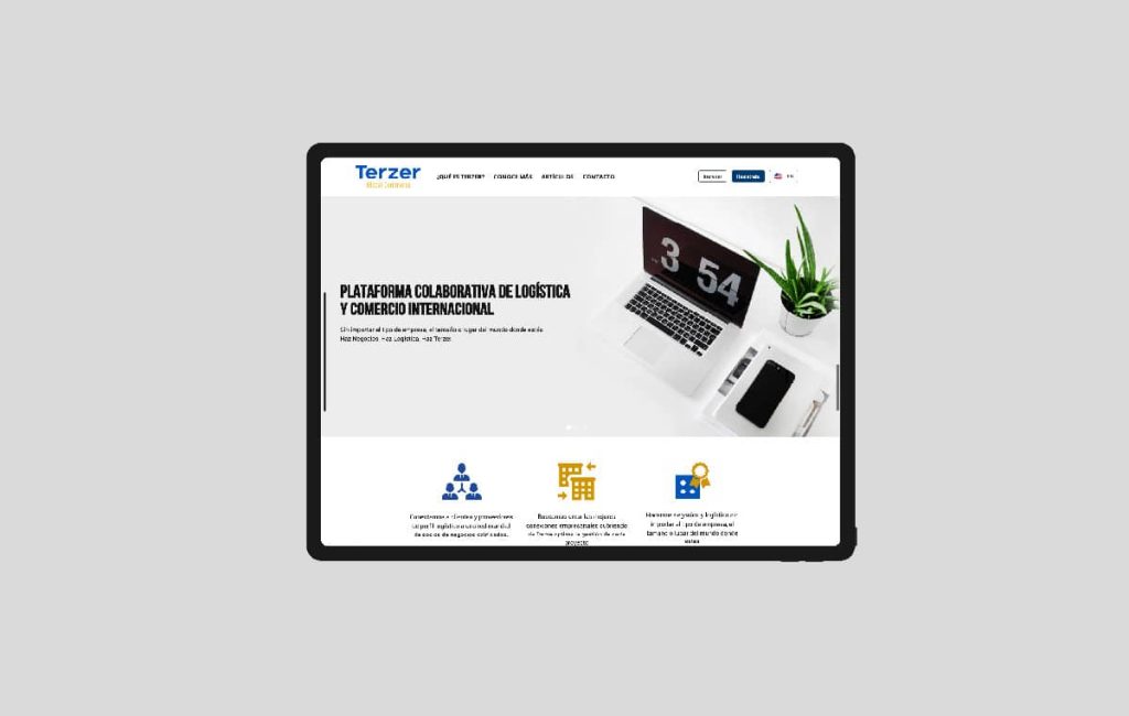 diseño de paginas web profesionales