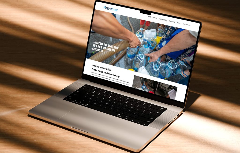 programador De sitios web en san pedro