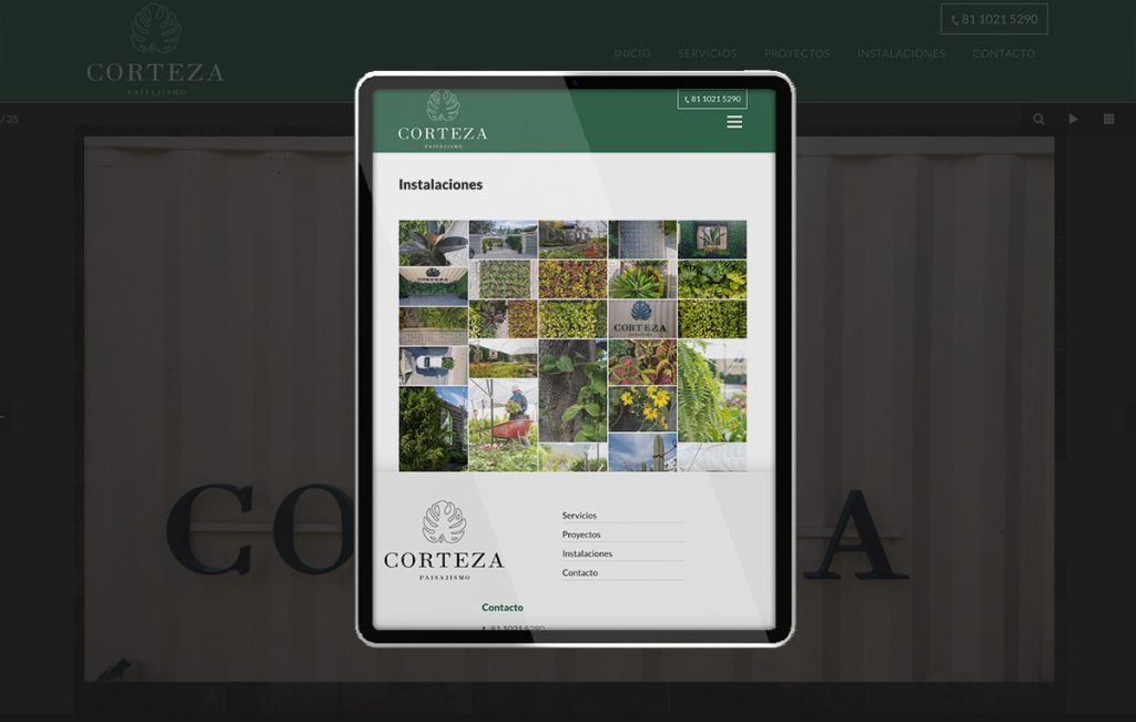 sitio web profesional