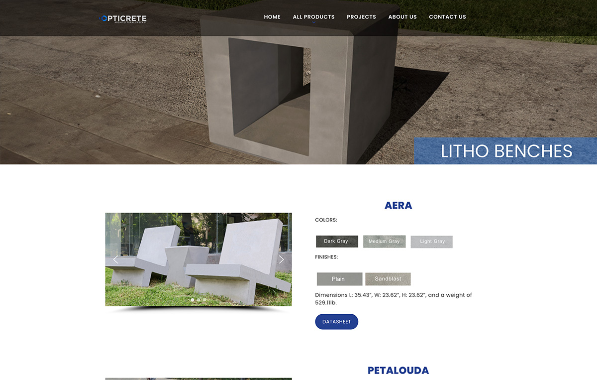 website monterrey