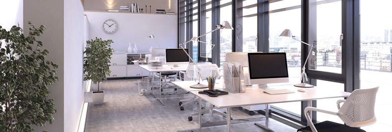 ¿Cuál es el activo mas importante de tu empresa?