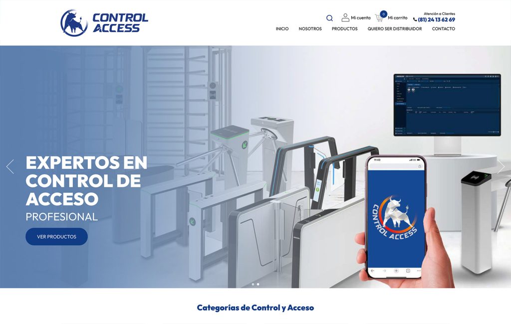 diseno de sitios web monterrey