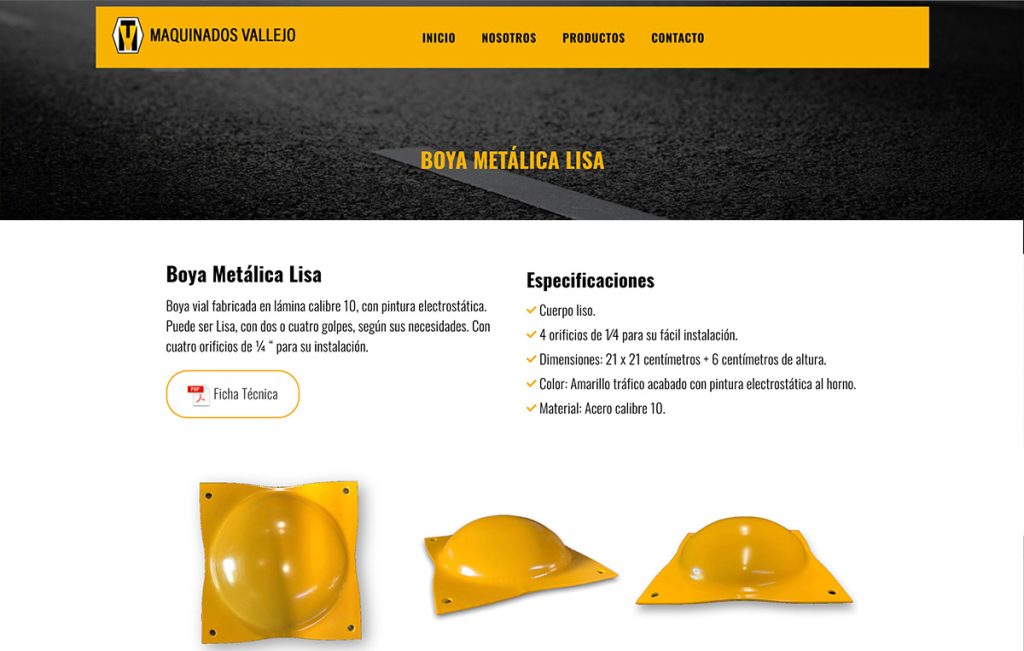 paginas web monterrey