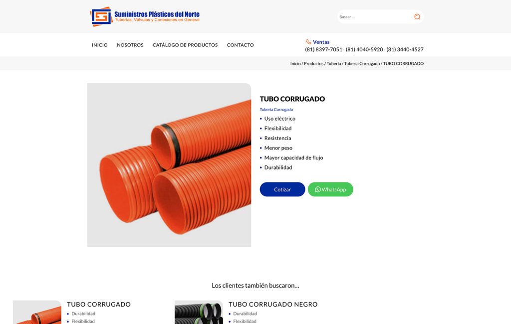 diseno web profesional monterrey