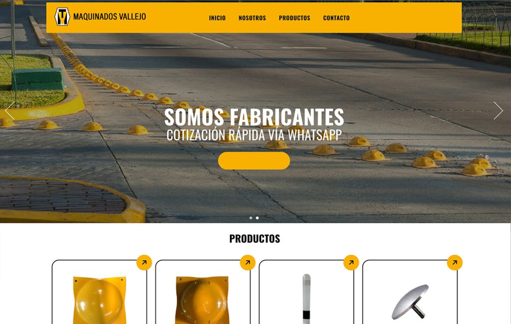 paginas web en monterrey