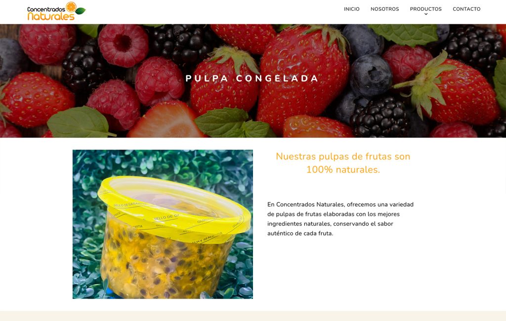 diseño de paginas web en monterrey