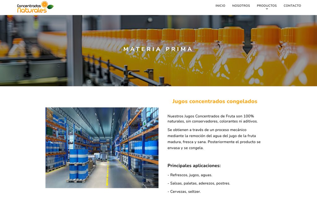 diseño de paginas web monterrey