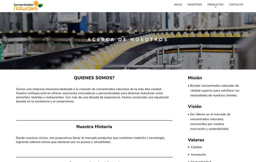 paginas web monterrey nl