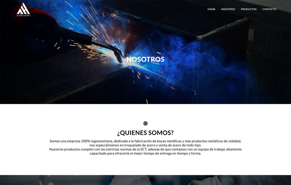 creacion DE sitios web en monterrey